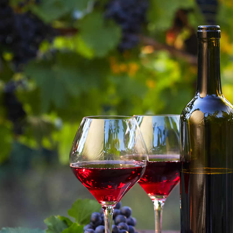 シブヤワイナリー